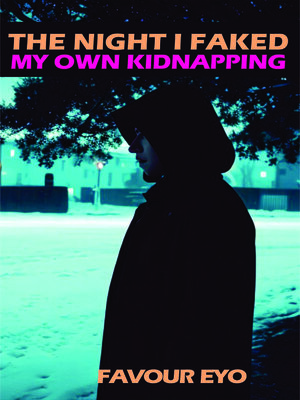 cover image of THE NIGHT I FAKED MY OWN KIDNAPPING